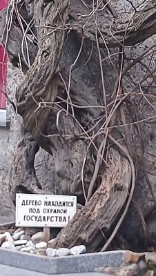 Прикрепленное изображение: 010.jpg